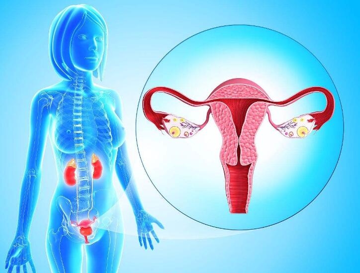 1582528898627036.jpg 1.jpg