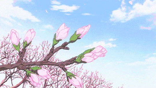 1585537458673686.gif ef2a5e7ff8014d22990c129c7de7aa6f.gif