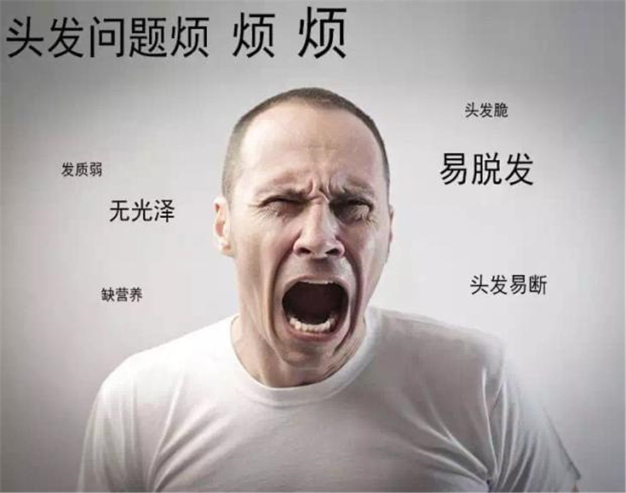 1599462672969884.jpg 8BAxY2wKs9XVLUvqcHNAErlLU=fKQ5bpEqycNUntmGF=L1498186497702.jpg