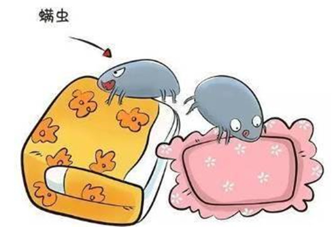 面部保養(yǎng)：去除臉上螨蟲美容妙招