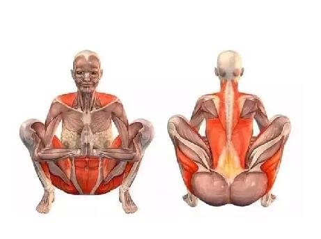 瑜伽動作小課堂！