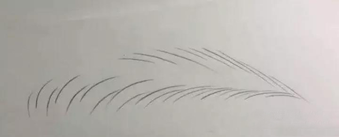 1621321334160971.jpeg 02.jpeg