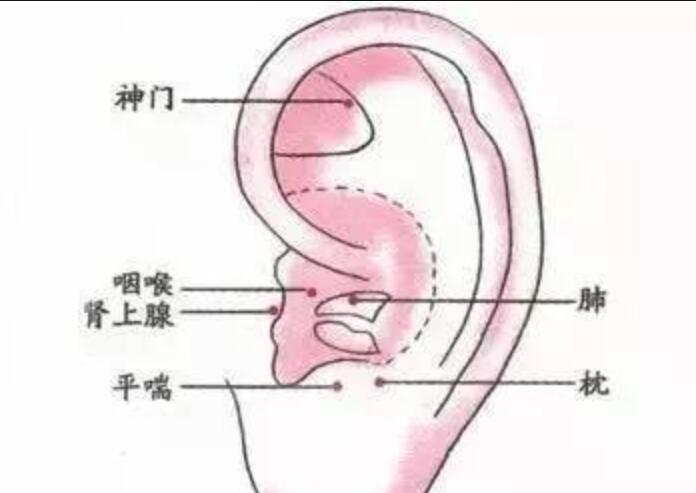 如何正確艾灸耳朵？南寧美容學(xué)校幫你整理教程