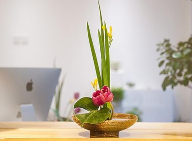 什么是盆式插花？南寧插花培訓課程解析