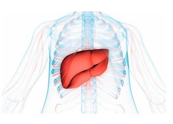 廣西養(yǎng)生美容學(xué)校：秋季如何養(yǎng)