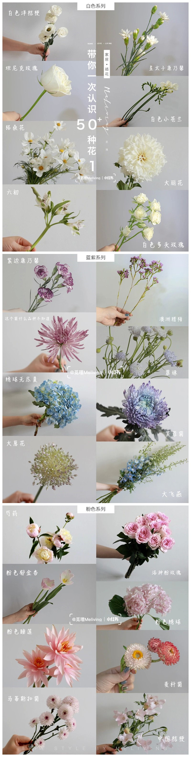 1657589341803042.jpg initpintu_副本001.jpg