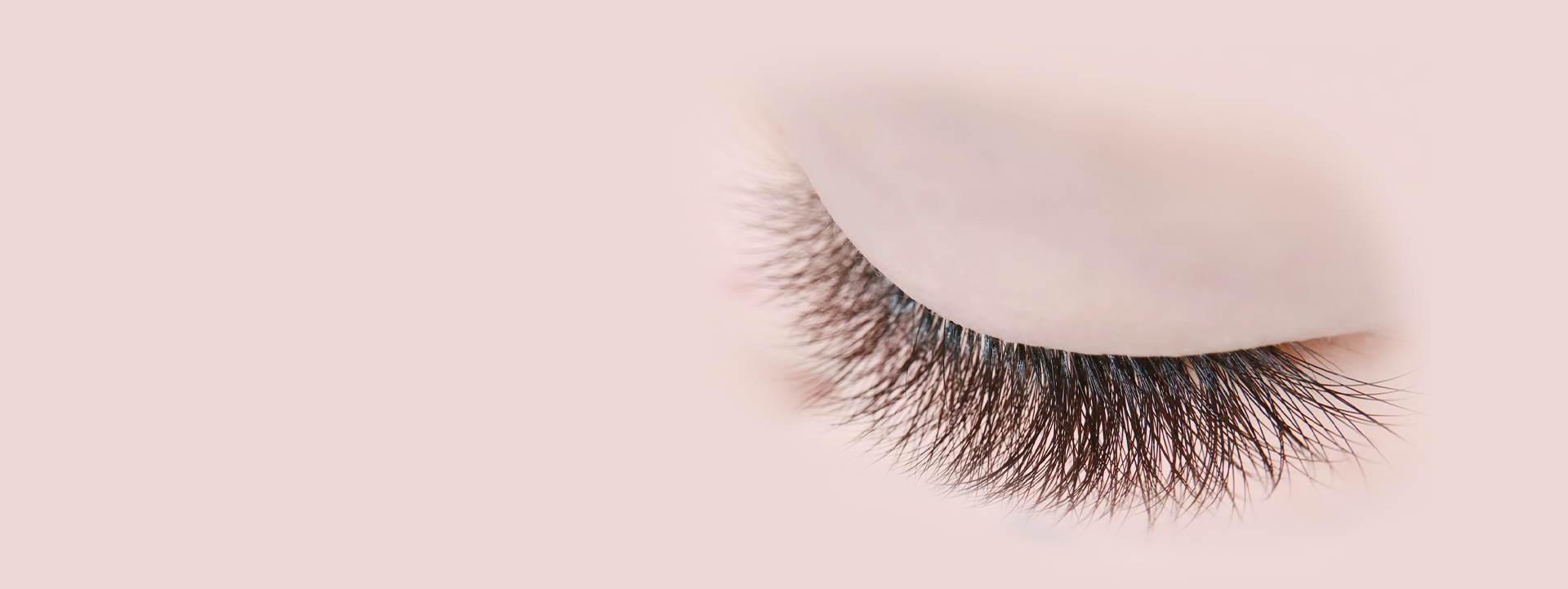 國際美睫師全能班