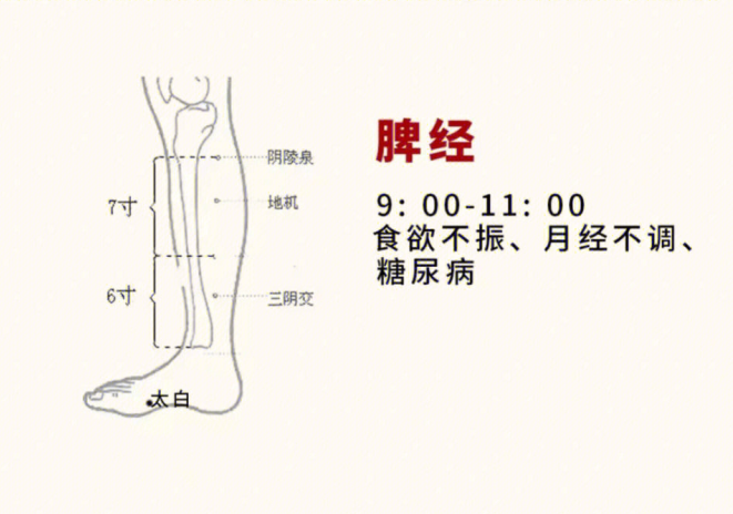 日常容易堵塞的身體部位，廣西美容基礎(chǔ)教學(xué)