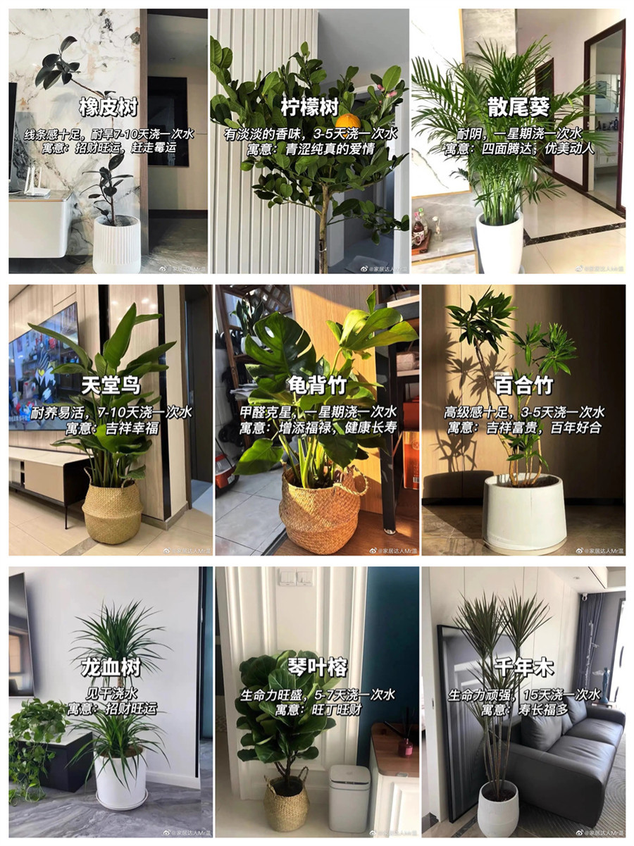 1673242422346944.jpg 11.jpg