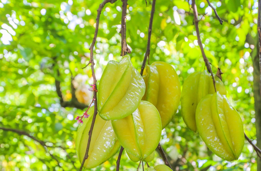 廣西美容護(hù)膚養(yǎng)顏班：春天吃什么水果好？