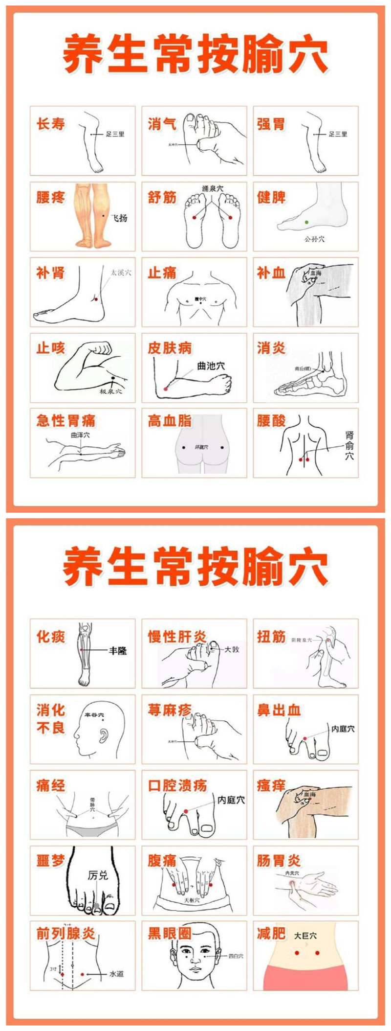 1697697748360241.jpg 800.jpg