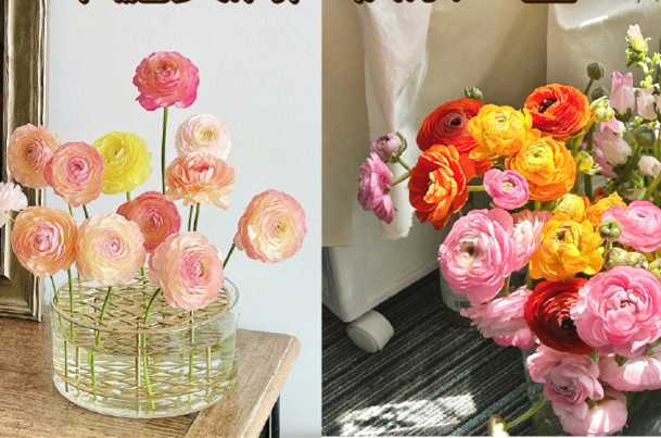 小眾但花語(yǔ)很美的花卉，南寧鮮花知識(shí)培訓(xùn)