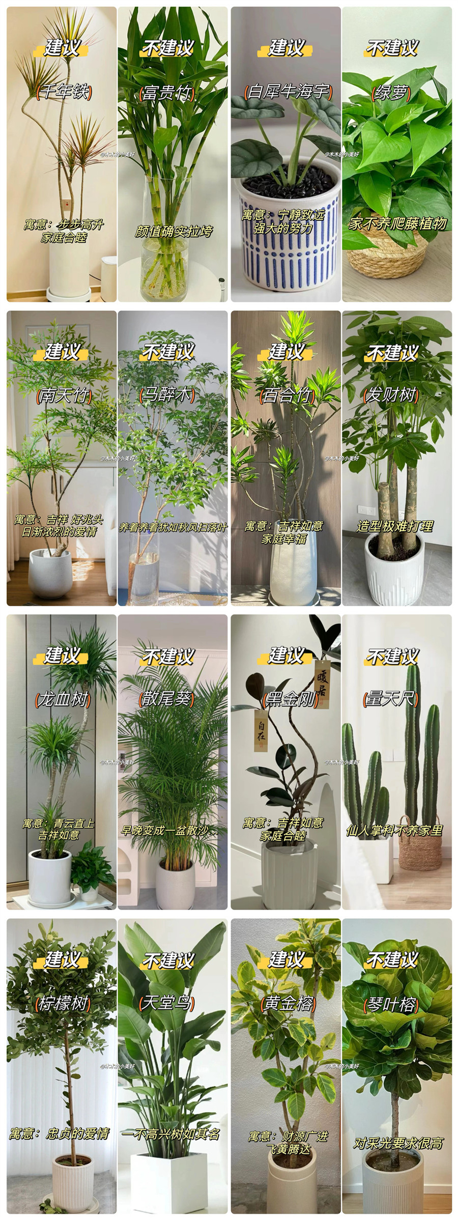 1713430681220023.jpg 900.jpg