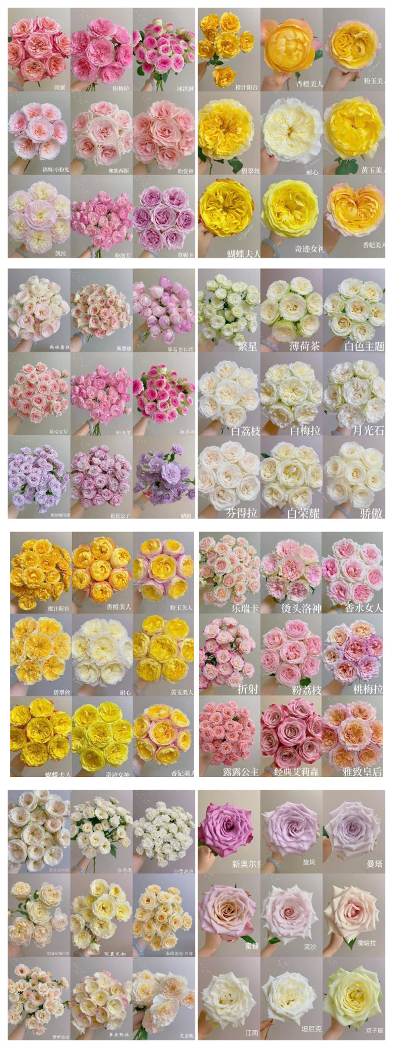 1715223358727981.jpg 900.jpg