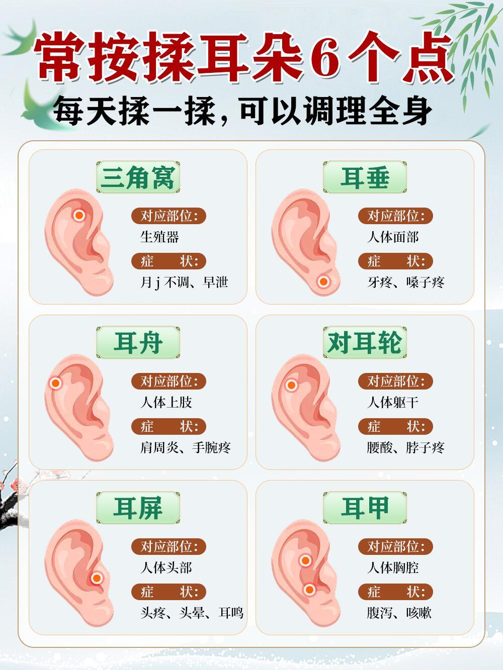 1741177545390411.jpg 1.jpg